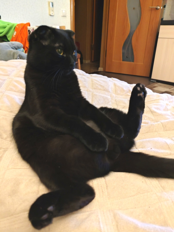 ��������� � ������� �������