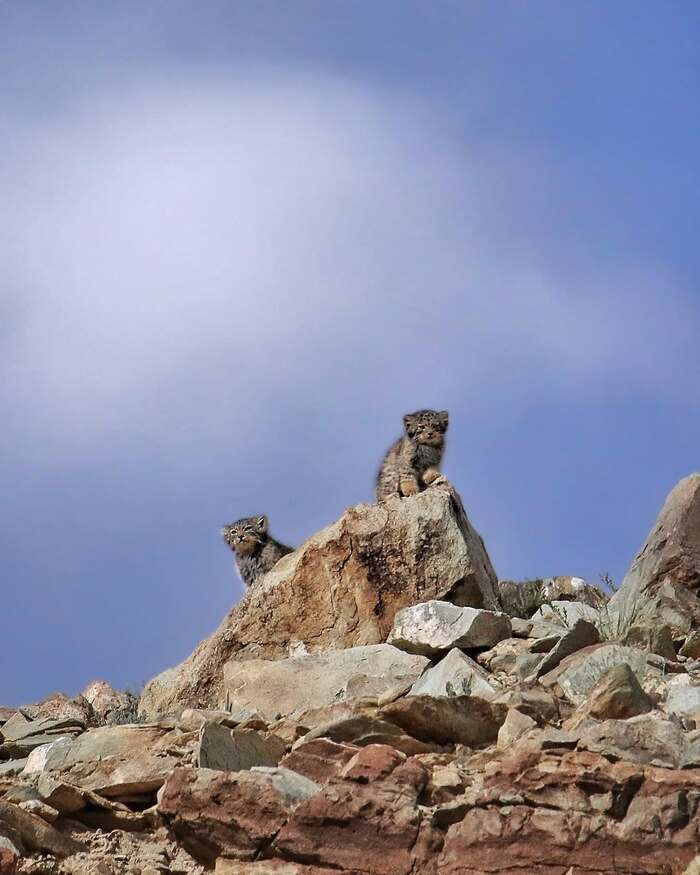 ���� ����