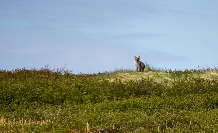 �������� ����� �� ��������