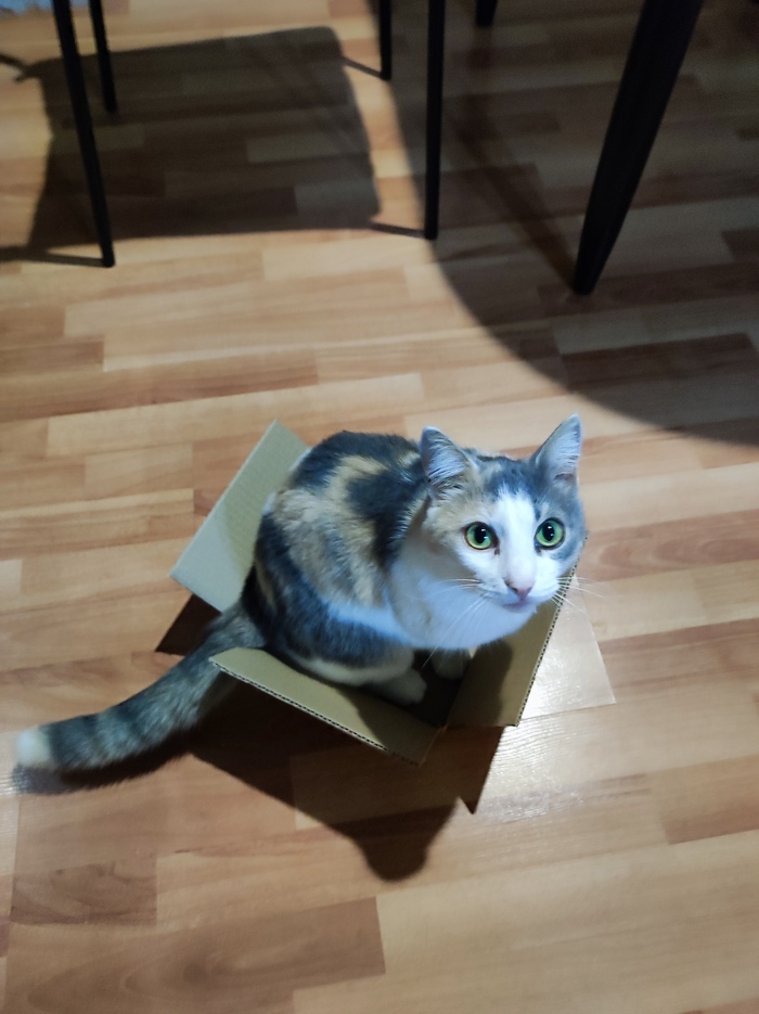 ��� ������ � � ����� ���������