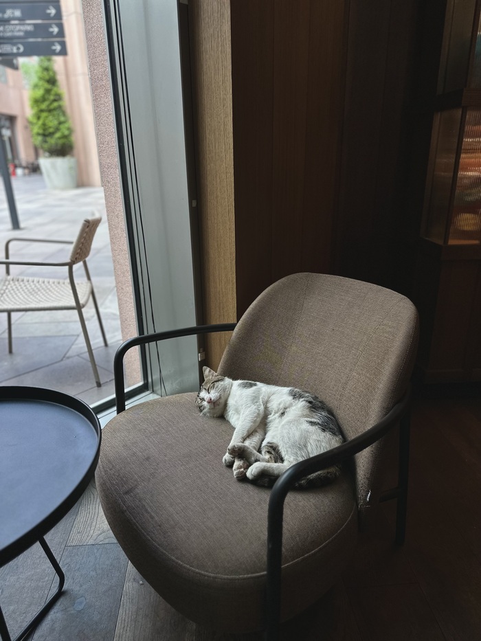 ������������ ����