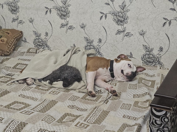 ������� ��, ������� � ����� �� ������, ���. � ��������� �� ������� ���������, ��.