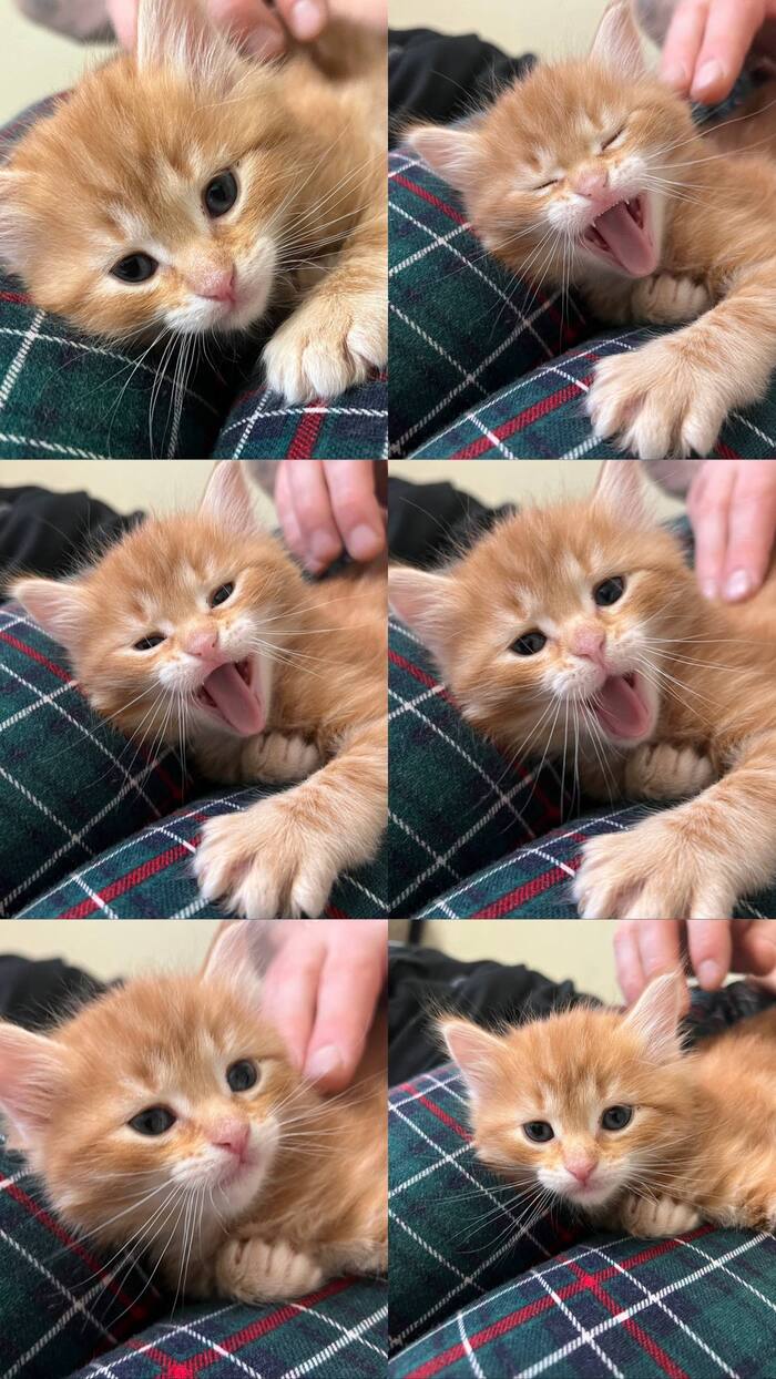 ��� ����� ����� ���� �����)