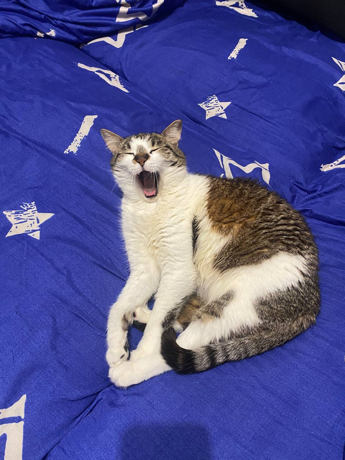 ��� ������ ���� ����������� ��������