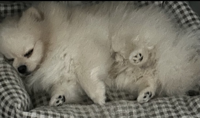 Ночью надо спать