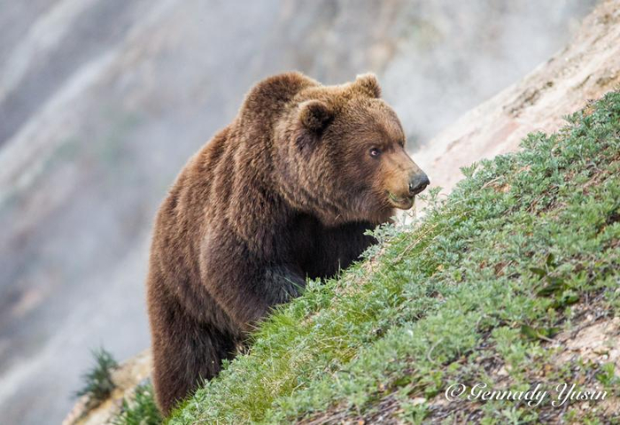 �������� �����. ����: �������� ����