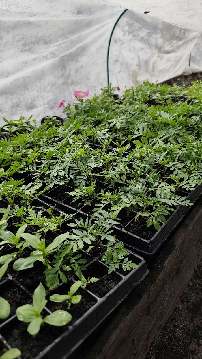 ������� ��������� �������� ���� ��������� � ������ ������ ��������� ��������� ����� ������ � �������� � ������ ����� � ������� � ��������