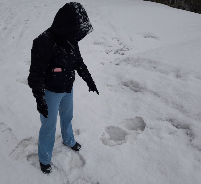 ����� �������� �������� 