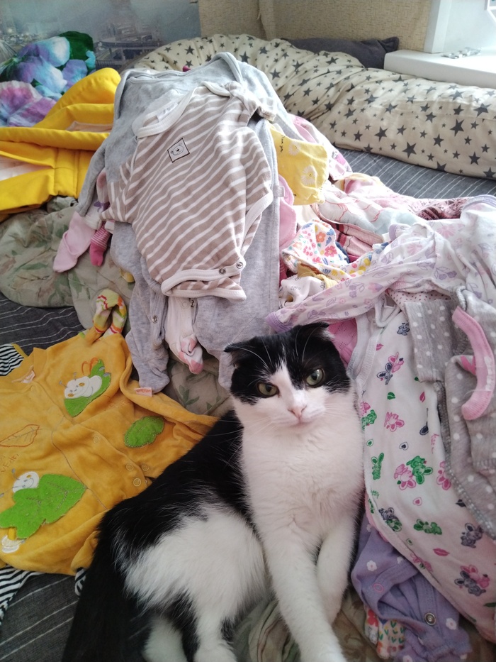 ��� ���� ����. ����� ��� ������������