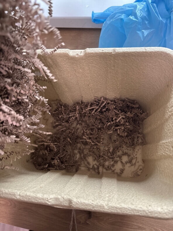 ������ ������: ������ ������� ������ iPhone 17 Pro Max �� 136 000  � ������ ���������� ������ �������