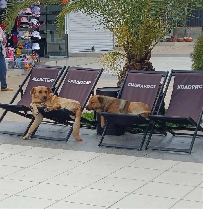 ��� �������, ��� �������?