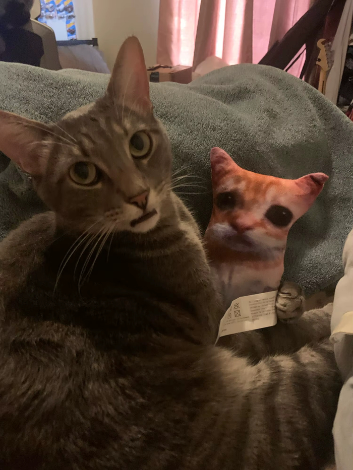 ������� ���� ������� � ���� ����