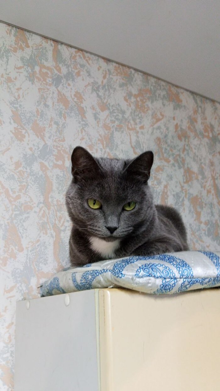 � �������� ��������� �������� �� �� �������� �� �������� ������)