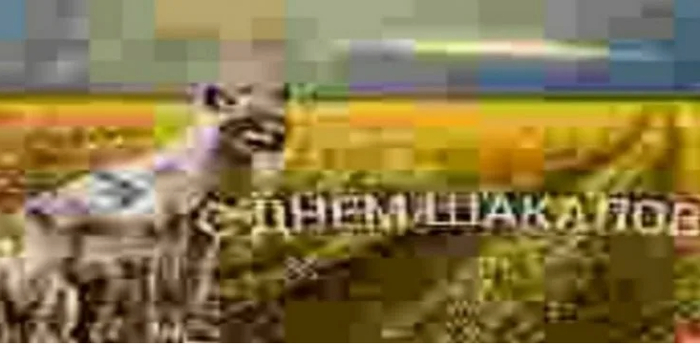 ���� ����������� ��������� �����������