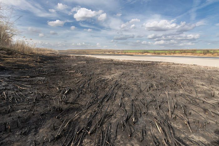 ������ �����