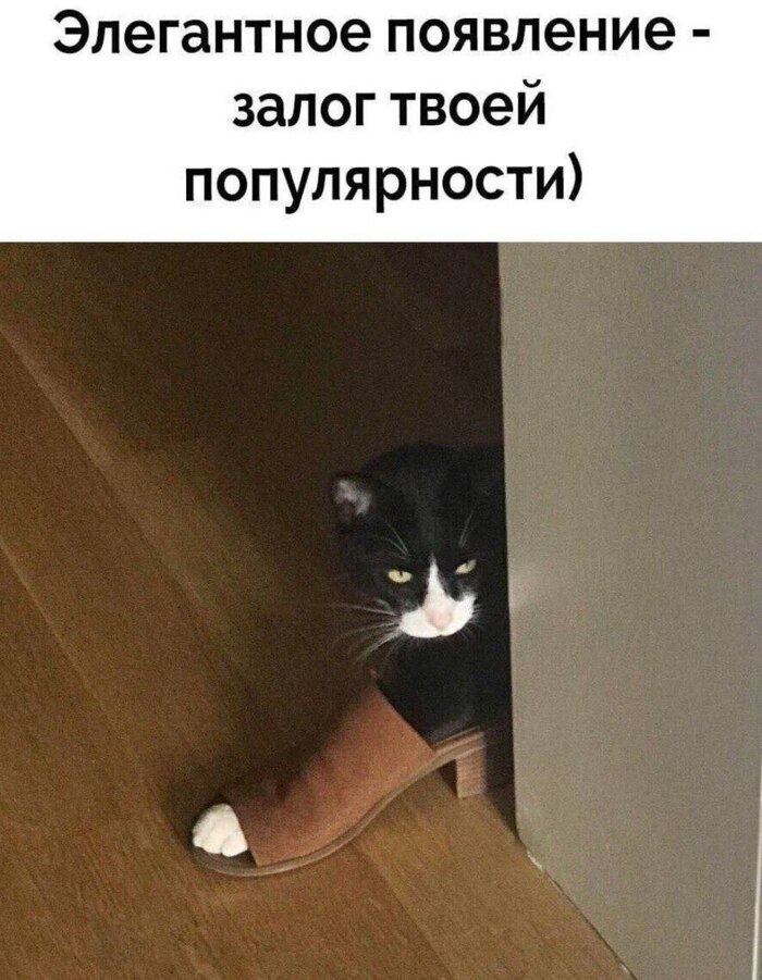 ��� ������������