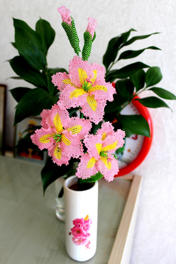 ������� ��������� ��������!