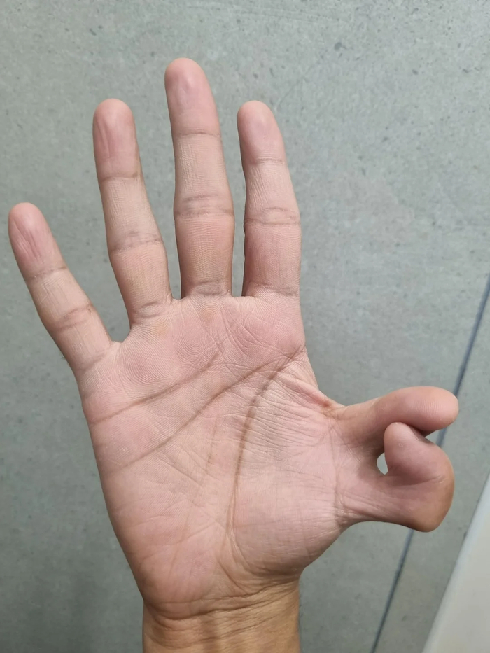 �������� � ������ ���������