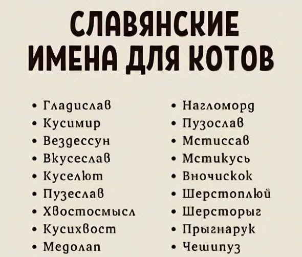 ����������