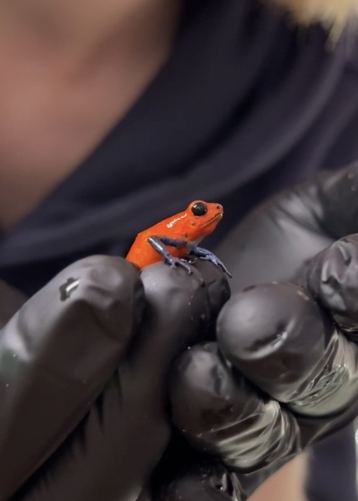 �������� ���� 1 ����� �� 10, �� ������� ����, ����� �������� ����������� ����� �������� � ���� ��� 😅