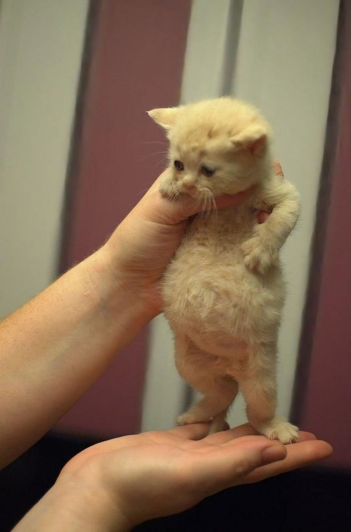 ���� ����-�� �� �� ��������� ������ ���� ������...