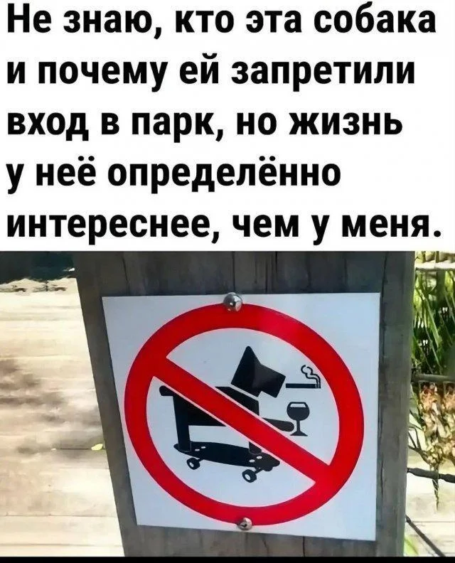 Well, here are some new memes) - Series Memes
, Humor, Picture with text, Memes, Longpost