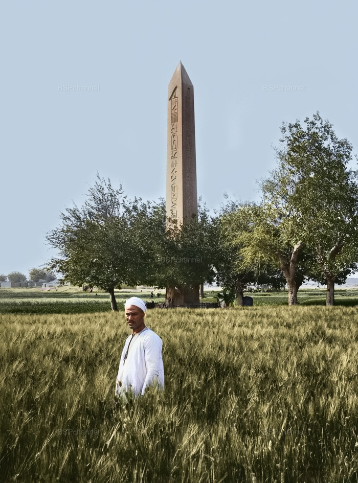 ���������� �� ��������� �. ����� � ���� ������