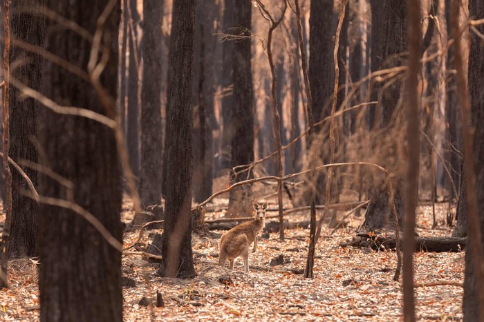 ��������, ���������. ������� ����� ���������� �������� �������� �� ���� �������. ����� � ����� ����� ������� �������� ��������� ���������� ���������� �������. ����������: ������ �������.