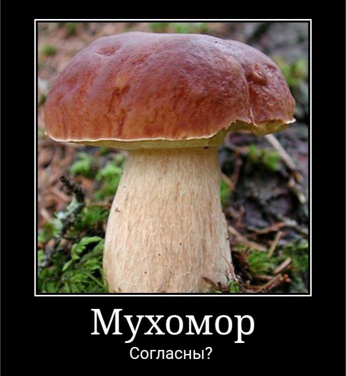 ��������?