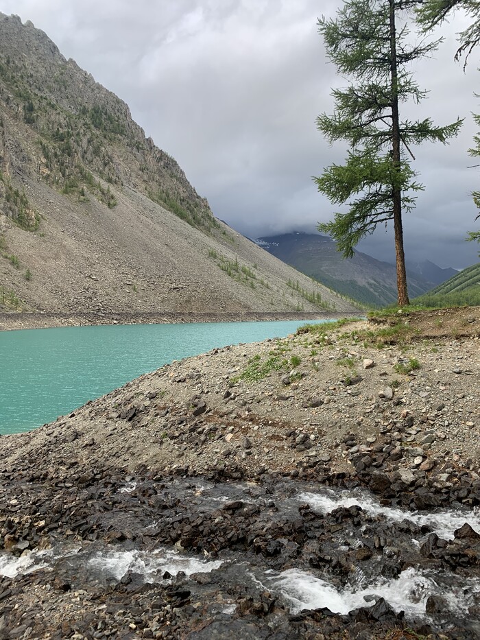 ���� ������� ������� �������� ���� ������� � �����, �������, ��� ���� �� �� �����-�� �������� ���� ��� ���