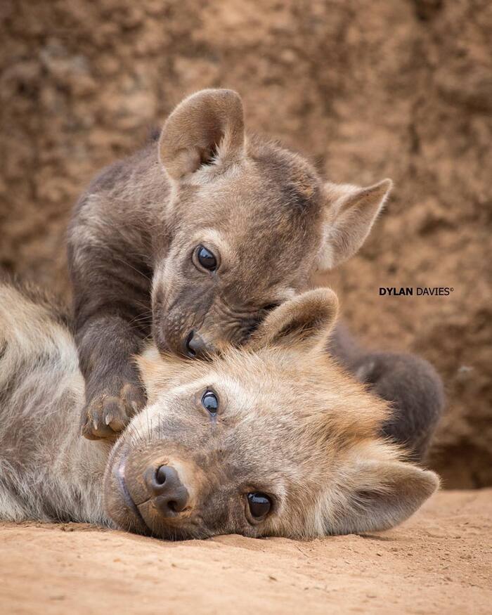 ��� �� �� ������!