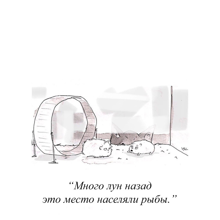 ������ ������