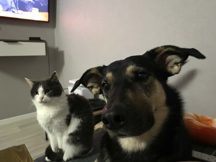 По мотивам старых мемов