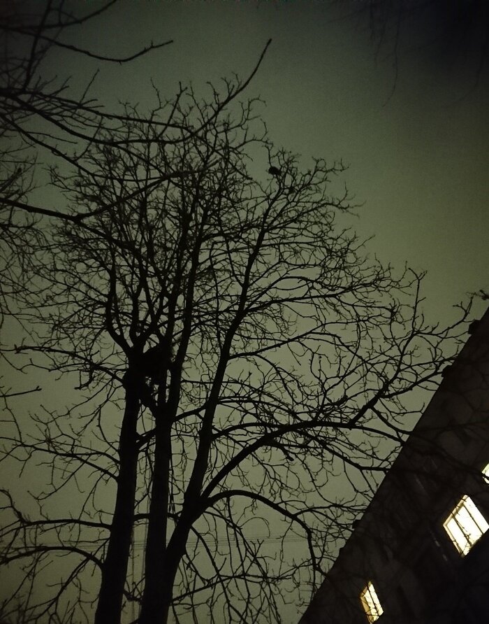 �� ���� ���� ���� ���� � �����, � ���������