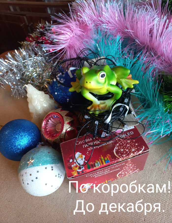 �� ������ ���� �������� �������� ���� � ��� �� ��������