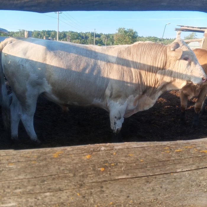 �������, ������� � ����.������ 1. ��������� �������, ��������