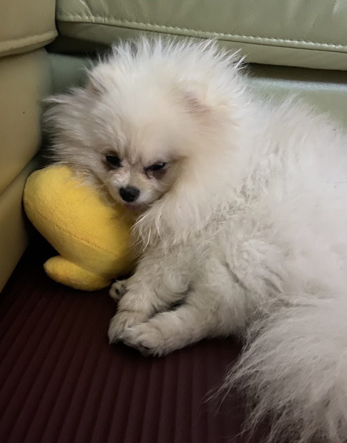 ��� ������ ��������-����������� ���� ����� � �����