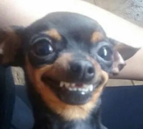 ���������.