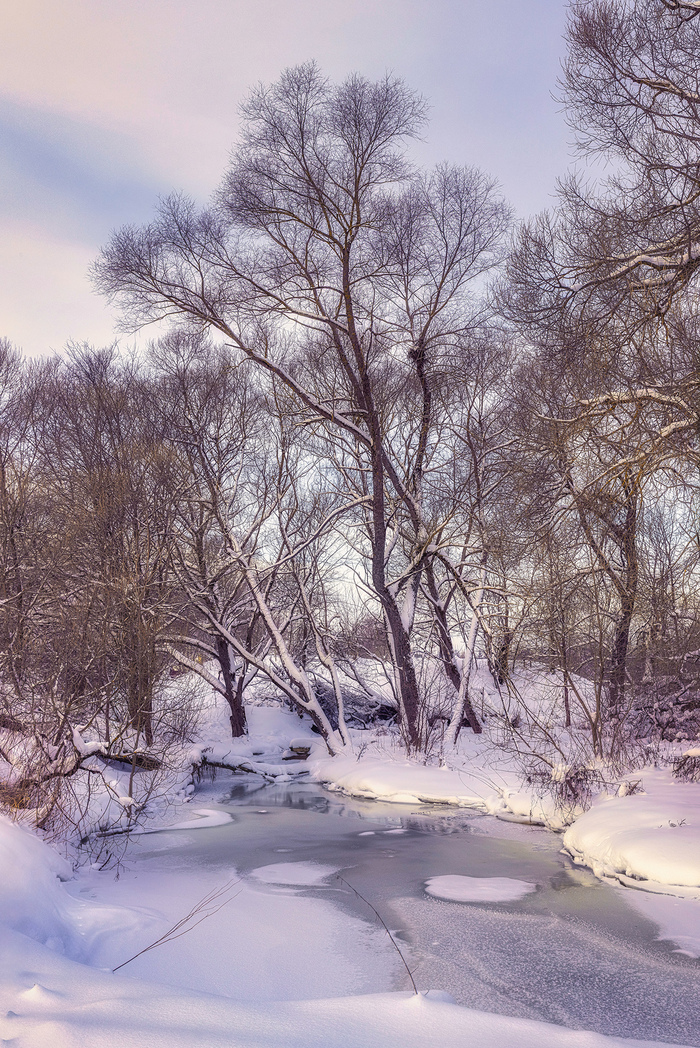 �� ���� ��������