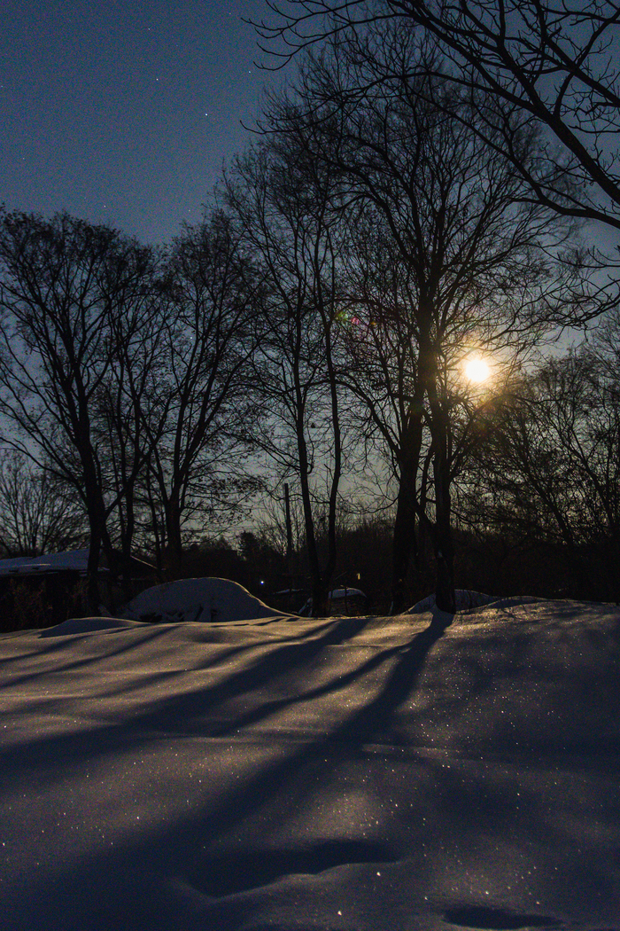 ������ ������