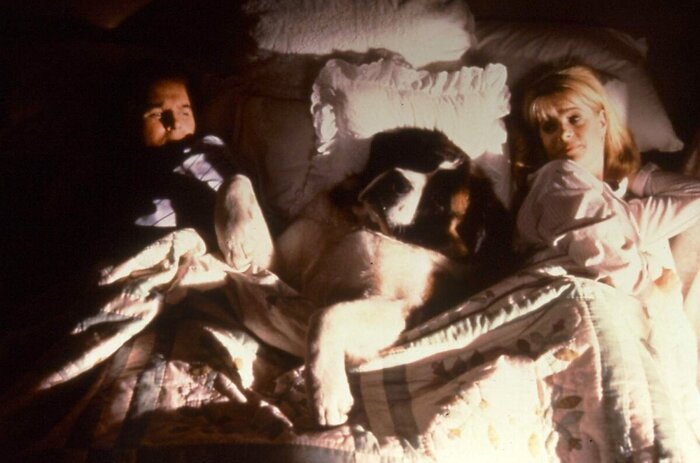 ���� ������ "��������"