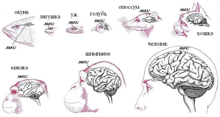 �� ���� ������� ���������� ����������� �������������