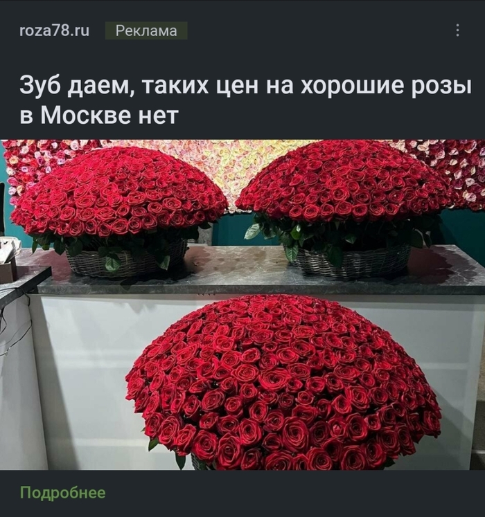 ���� ����������