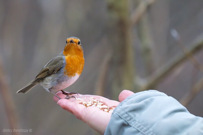 �����-�������