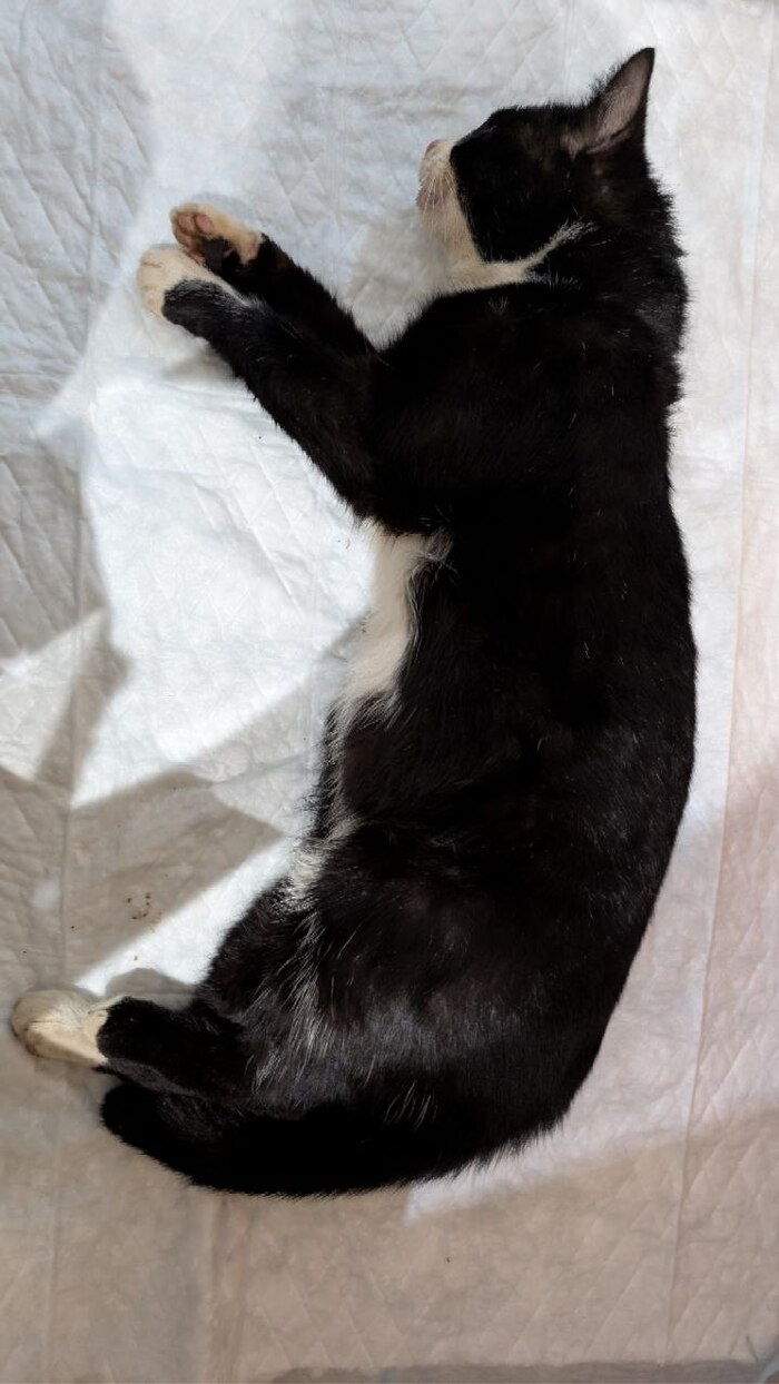 ����� ��� ���������, ����� ������ ���������� � ����� ����, ��� ������� "�����������"