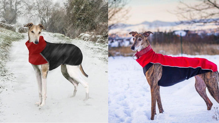 7 �����, ������� ������������� ����� ������ �����