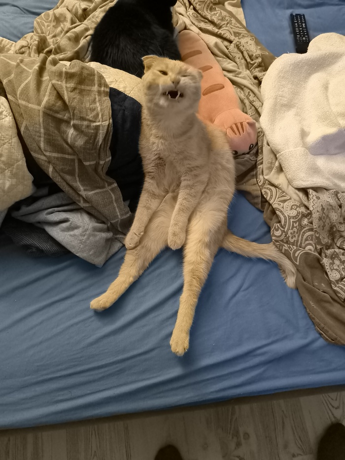 ��� �������!