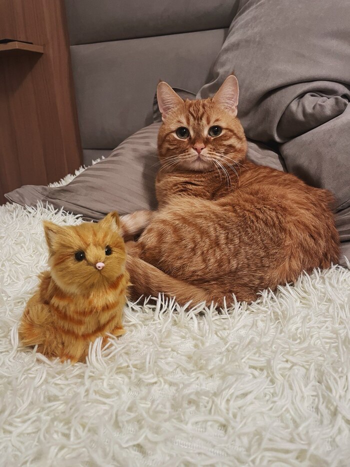 ��� � ���� ��