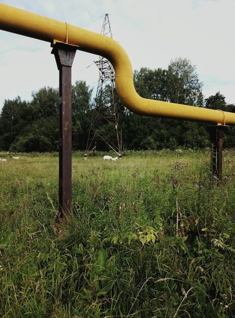 ���� ����� �� ��������� 