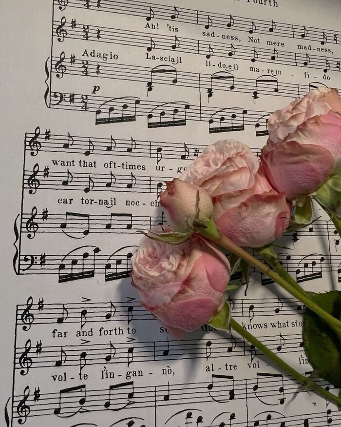 ��� �������� ������ �� �������?